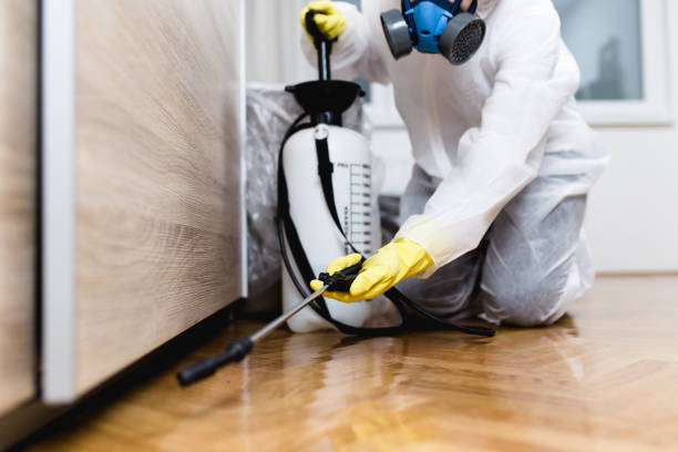 Best Pest Prevention Services  in Questa, NM