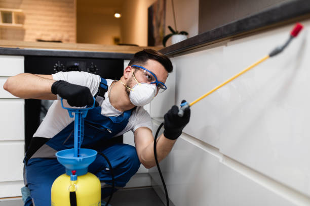 Best Pest Removal Services  in Questa, NM