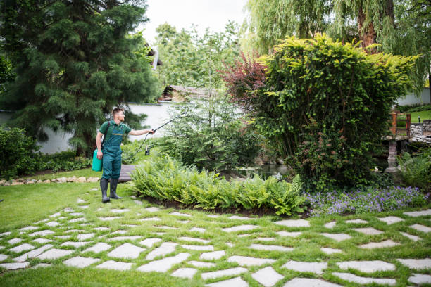 Best Local Pest Control Services  in Questa, NM