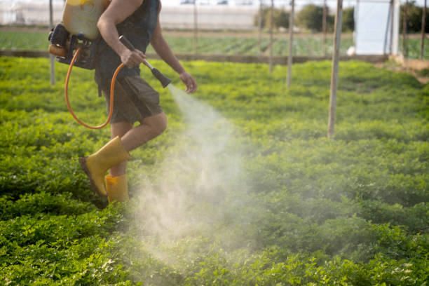 Best Pest Prevention Services  in Questa, NM