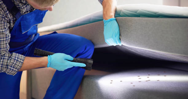 Best Best Pest Control Companies  in Questa, NM
